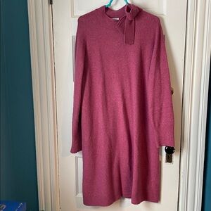 J. Crew Factory Long Sleeve Pink Dress